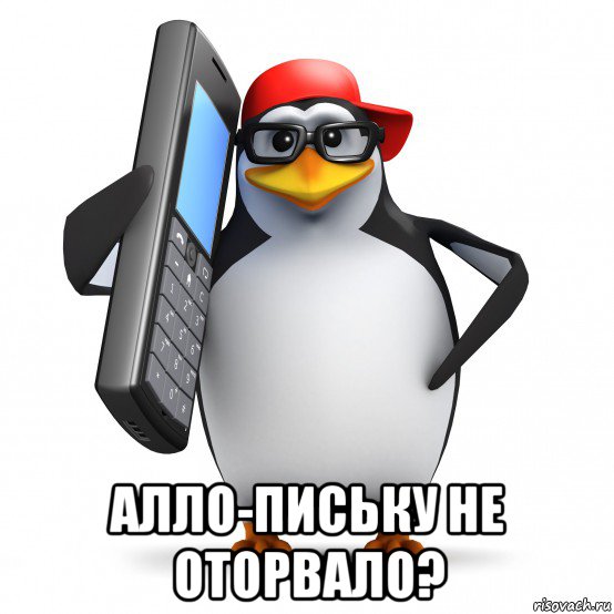  алло-письку не оторвало?, Мем   Пингвин звонит