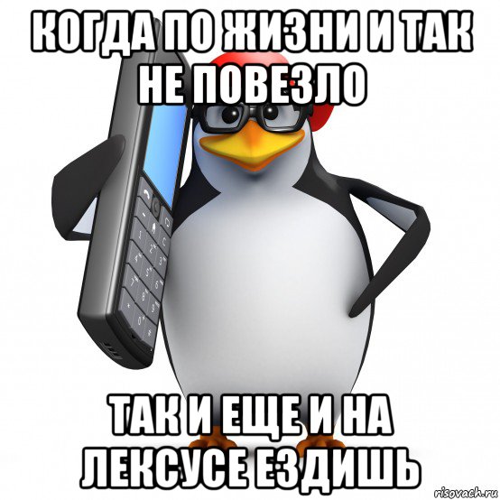 когда по жизни и так не повезло так и еще и на лексусе ездишь, Мем   Пингвин звонит