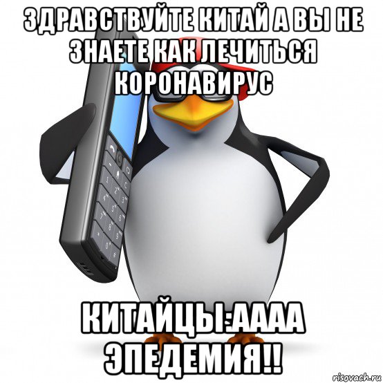 здравствуйте китай а вы не знаете как лечиться коронавирус китайцы:аааа эпедемия!!, Мем   Пингвин звонит