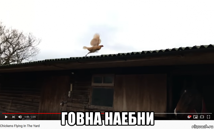  говна наебни, Мем Питух - Эпический полёт
