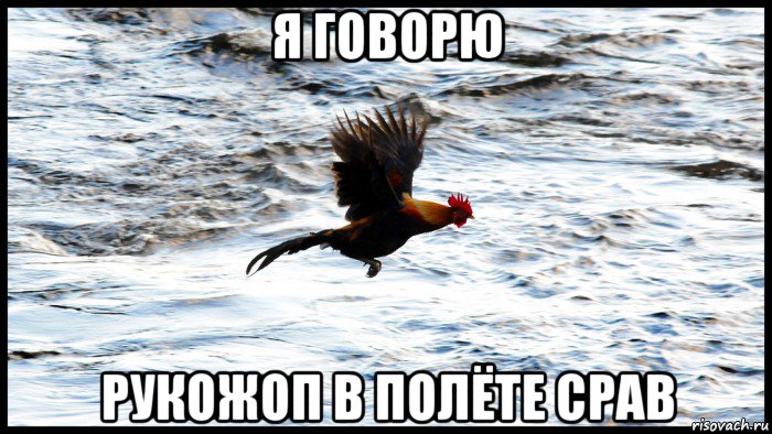 я говорю рукожоп в полёте срав