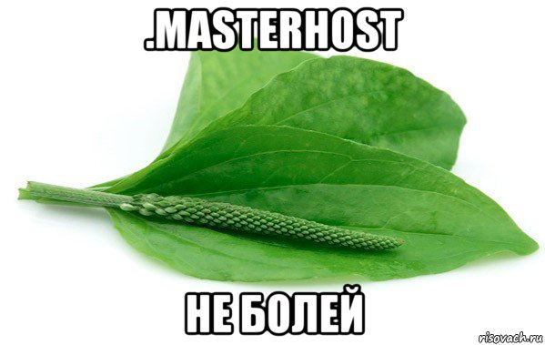 .masterhost не болей