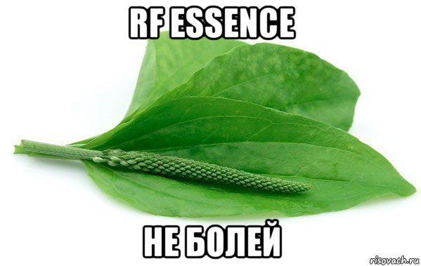 rf essence не болей