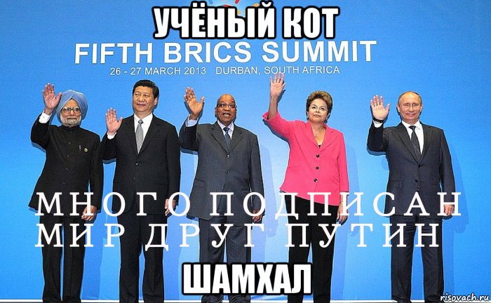 учёный кот шамхал