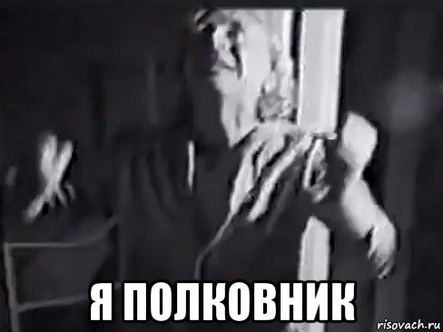  я полковник, Мем Полковник