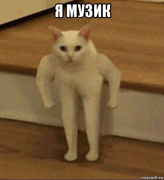 я музик , Мем  Полукот