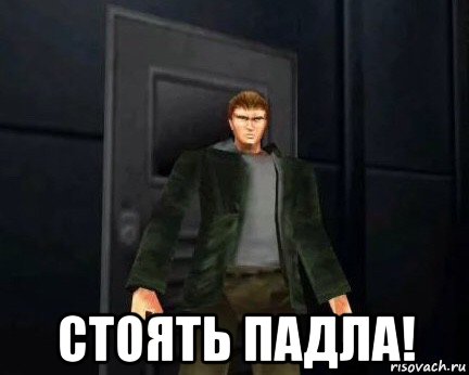  стоять падла!
