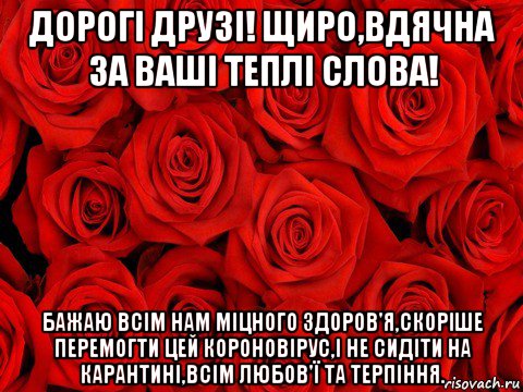 дорогі друзі! щиро,вдячна за ваші теплі слова! бажаю всім нам міцного здоров'я,скоріше перемогти цей короновірус,і не сидіти на карантині,всім любов'ї та терпіння., Мем роза