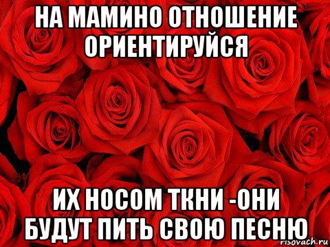 на мамино отношение ориентируйся их носом ткни -они будут пить свою песню, Мем роза