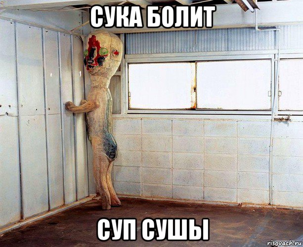 сука болит суп сушы