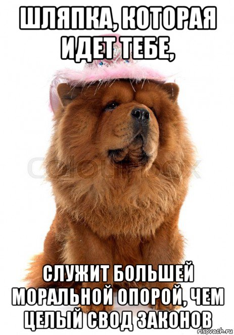 шляпка, которая идет тебе, служит большей моральной опорой, чем целый свод законов, Мем Шляпа  это нимб счастья