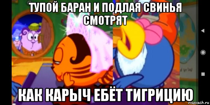 тупой баран и подлая свинья смотрят как карыч ебёт тигрицию, Мем Смешарики
