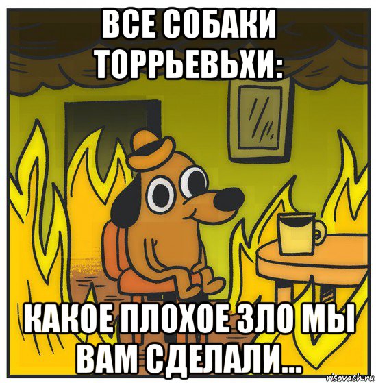 все собаки торрьевьхи: какое плохое зло мы вам сделали...
