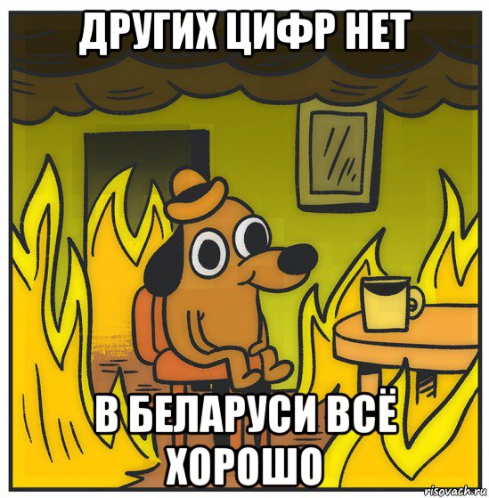 других цифр нет в беларуси всё хорошо