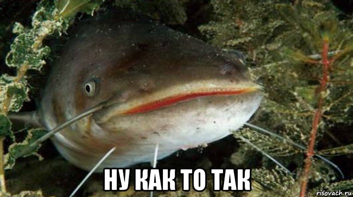  ну как то так