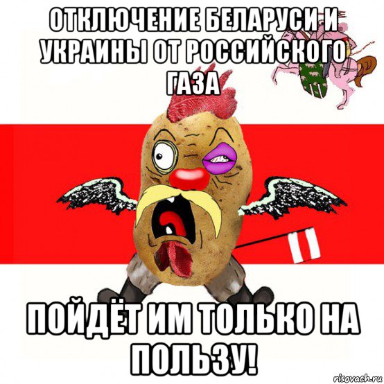 отключение беларуси и украины от российского газа пойдёт им только на пользу!