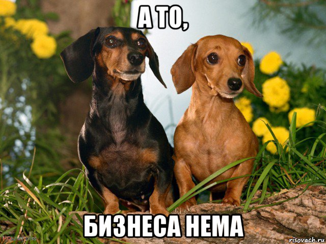 а то, бизнеса нема, Мем T