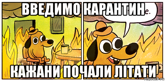 введимо карантин кажани почали літати, Мем This is fine