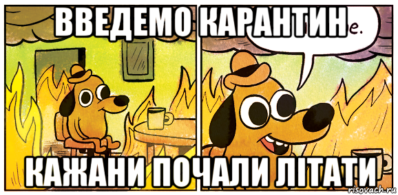 введемо карантин кажани почали літати, Мем This is fine