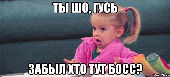 ты шо, гусь забыл хто тут босс?, Мем  Ты говоришь (девочка возмущается)