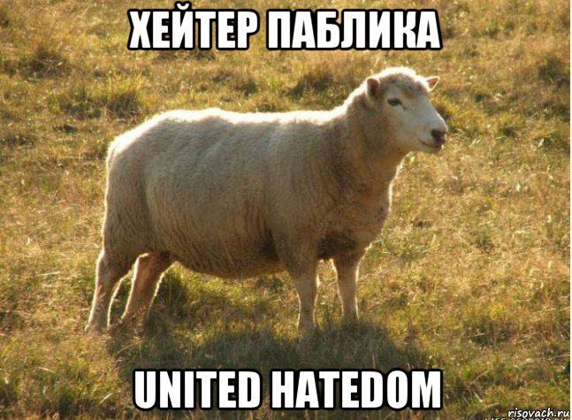 хейтер паблика united hatedom, Мем Типичная овца
