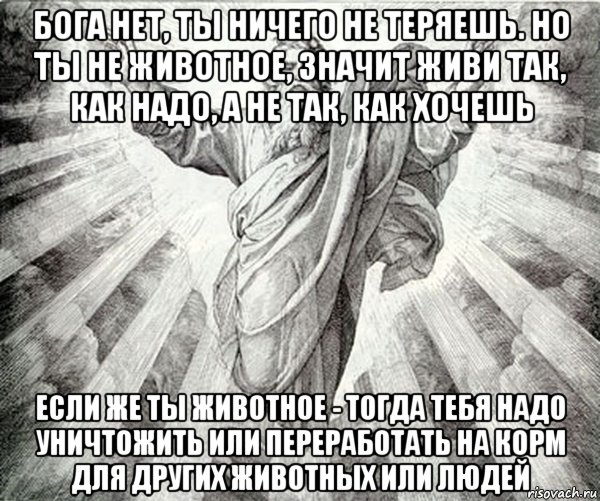 бога нет, ты ничего не теряешь. но ты не животное, значит живи так, как надо, а не так, как хочешь если же ты животное - тогда тебя надо уничтожить или переработать на корм для других животных или людей