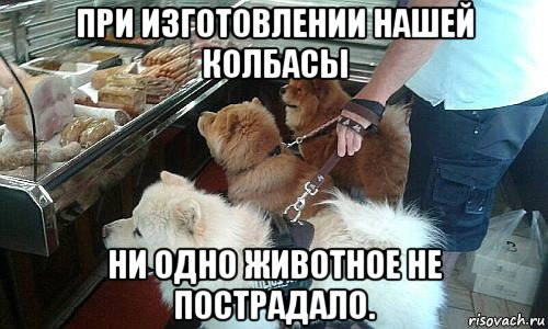при изготовлении нашей колбасы ни одно животное не пострадало., Мем У всего на свете есть конец