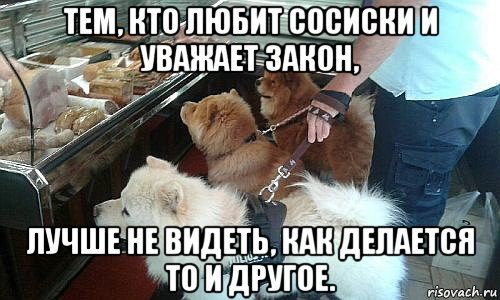 тем, кто любит сосиски и уважает закон, лучше не видеть, как делается то и другое., Мем У всего на свете есть конец