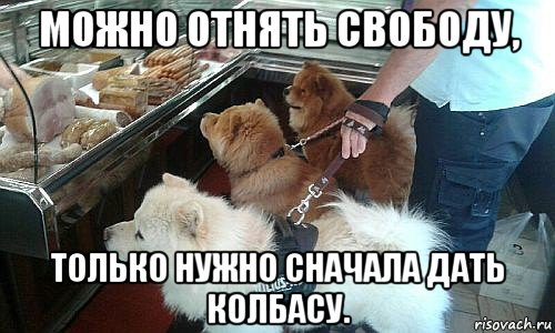 можно отнять свободу, только нужно сначала дать колбасу., Мем У всего на свете есть конец