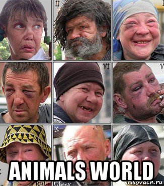  animals world, Мем Уц45