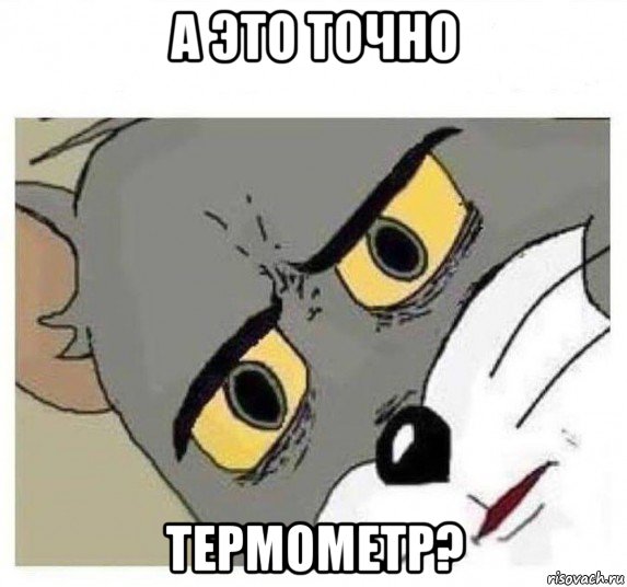 а это точно термометр?, Мем Удивленный кот том