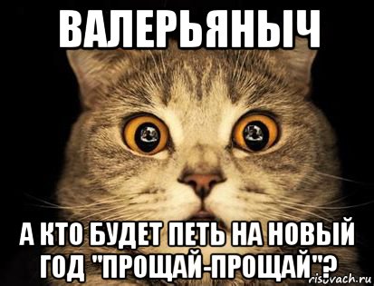 валерьяныч а кто будет петь на новый год "прощай-прощай"?, Мем Валерьяныч