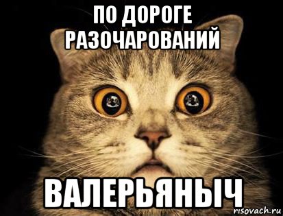 по дороге разочарований валерьяныч, Мем Валерьяныч