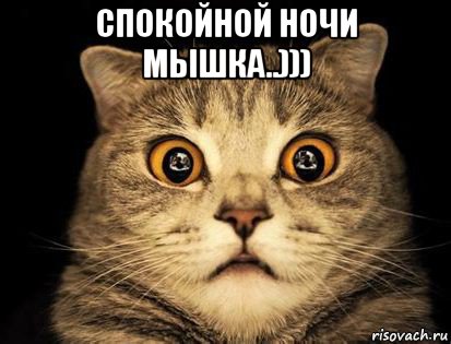 спокойной ночи мышка..))) , Мем Валерьяныч