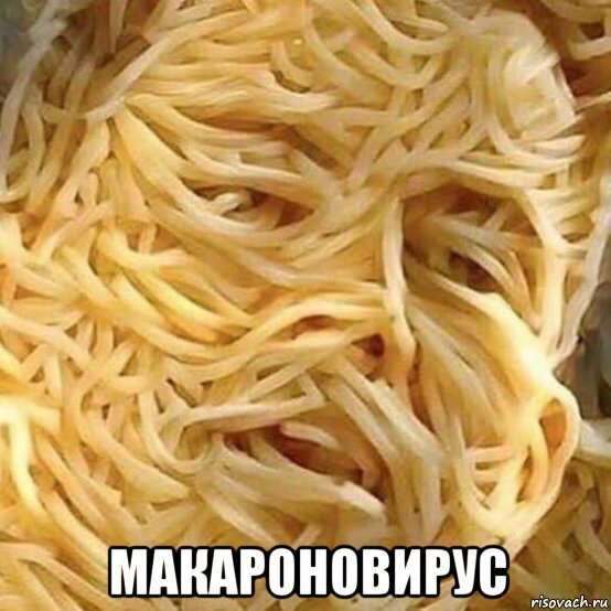  макароновирус, Мем Вир
