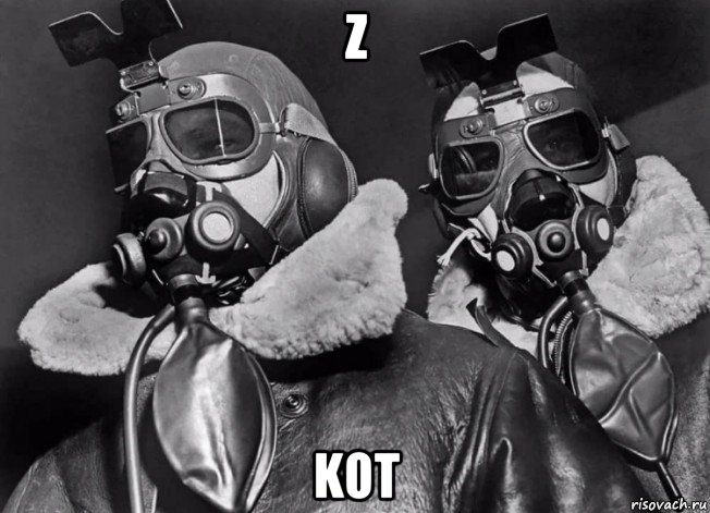 z kot, Мем Вирус