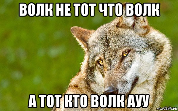 волк не тот что волк а тот кто волк ауу, Мем   Volf