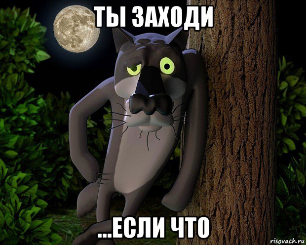 ты заходи ...если что, Мем Волк