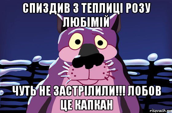 спиздив з теплиці розу любімій чуть не застрілили!!! лобов це капкан, Мем Волк