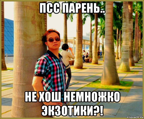 псс парень.. не хош немножко экзотики?!