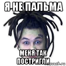 я не пальма меня так постригли, Мем Я романтик пальма