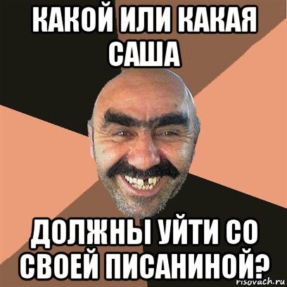 какой или какая саша должны уйти со своей писаниной?, Мем Я твой дом труба шатал