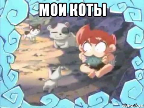 мои коты 