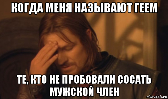 когда меня называют геем те, кто не пробовали сосать мужской член, Мем Закрывает лицо