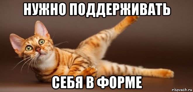 нужно поддерживать себя в форме, Мем Зарядка