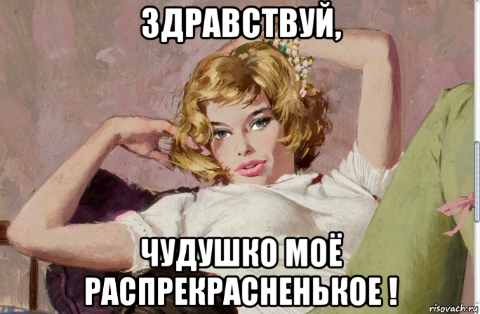 здравствуй, чудушко моё распрекрасненькое !, Мем Здрвст