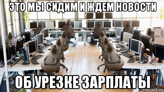 это мы сидим и ждем новости об урезке зарплаты