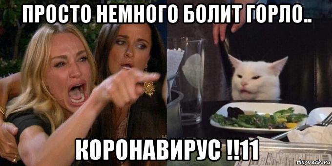 просто немного болит горло.. коронавирус !!11, Мем Женщина орёт на кота