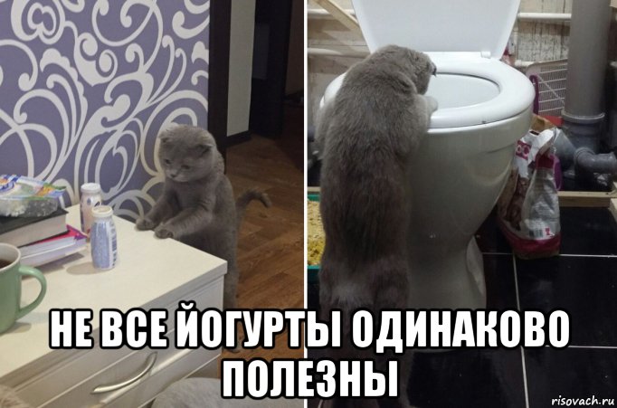  не все йогурты одинаково полезны, Мем 2222