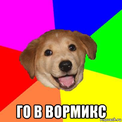  го в вормикс, Мем Advice Dog